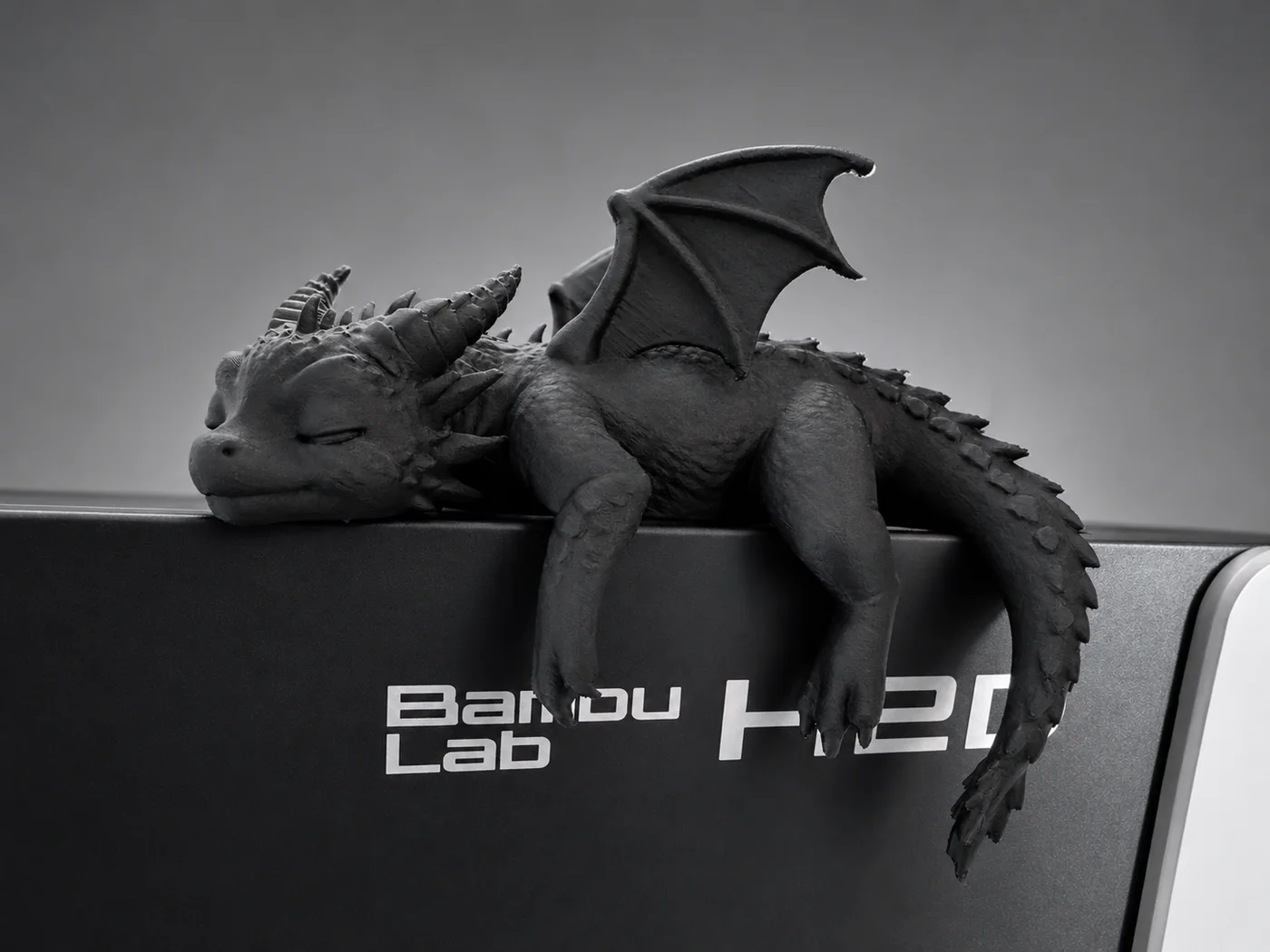 Sleeping Baby Dragon