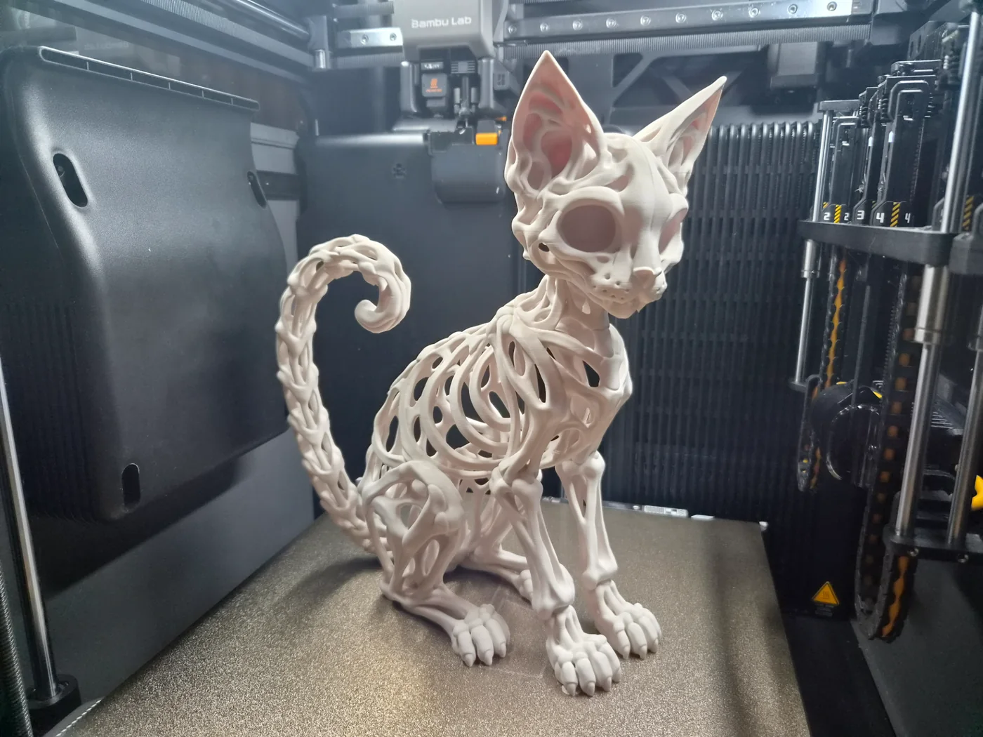 Bone Cat – Skeletal Feline Sculpture